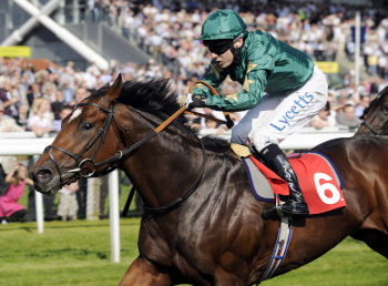 2019 Coral Eclipse tip and preview by Dave Stevos