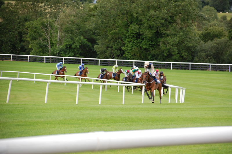 Goodwood and Galway Friday Tips Dave Stevos
