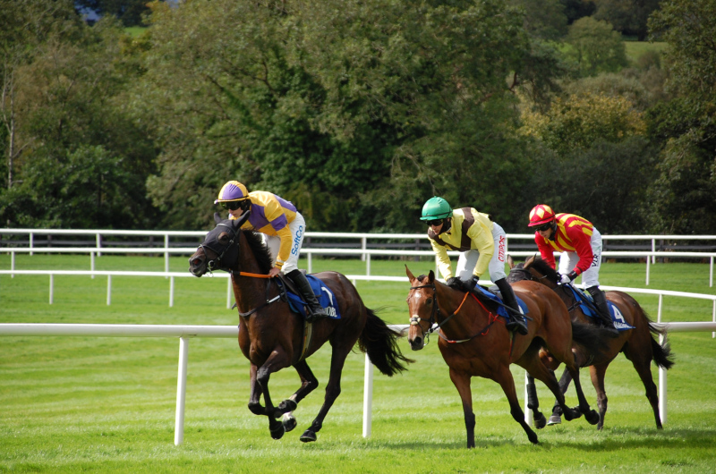 Wetherby and Ascot Saturday Tips by Dave Stevos