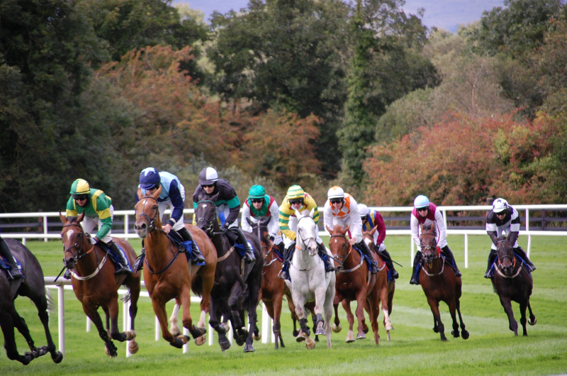 Sunday Fairyhouse Tips and Preview by Dave Stevos