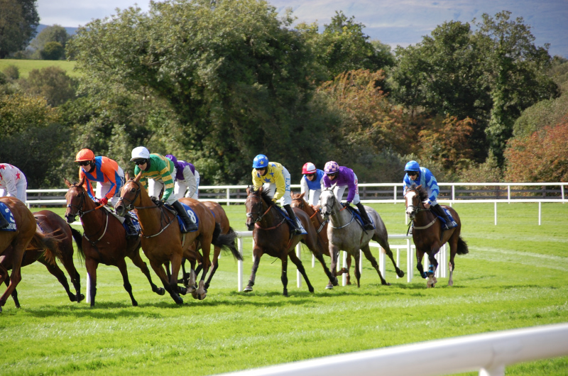 Goodwood and Newmarket Saturday Tips Dave Stevos