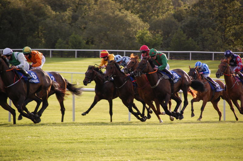 Leopardstown Racing Festival Saturday: Dave Stevos