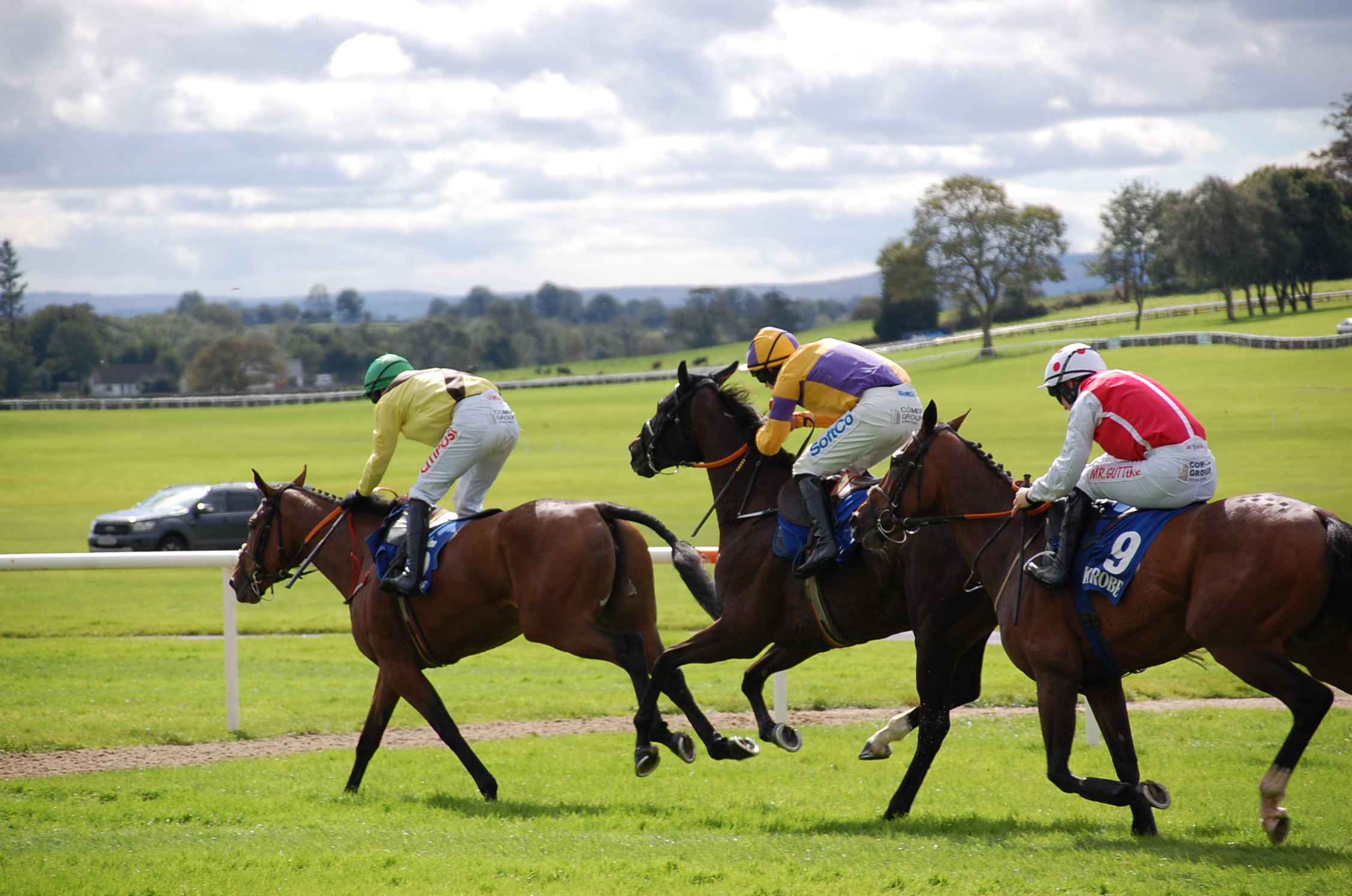 Haydock and Beverley Saturday Tips by Dave Stevos