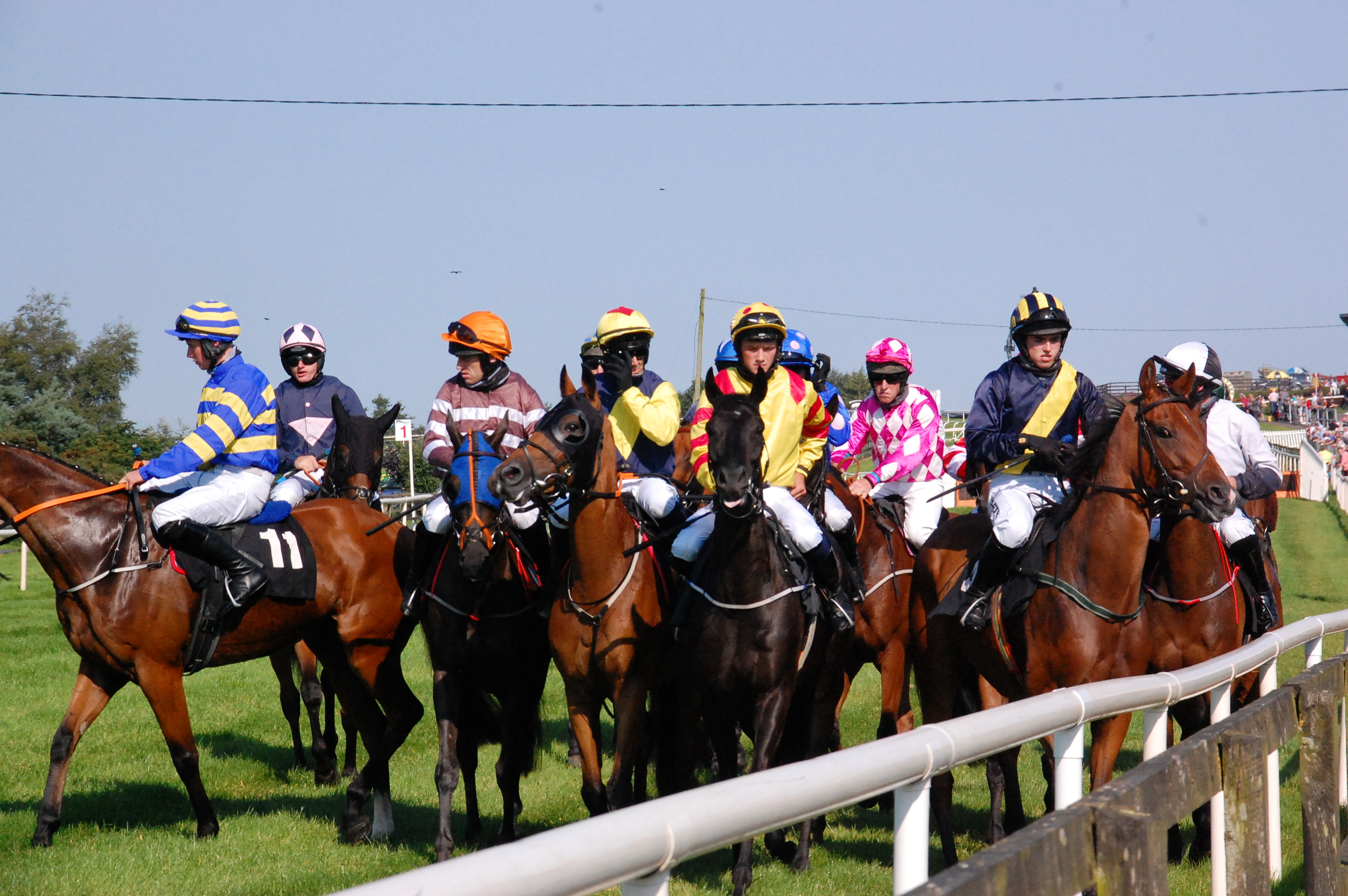 Wolverhampton and Sandown Saturday Tips – DS