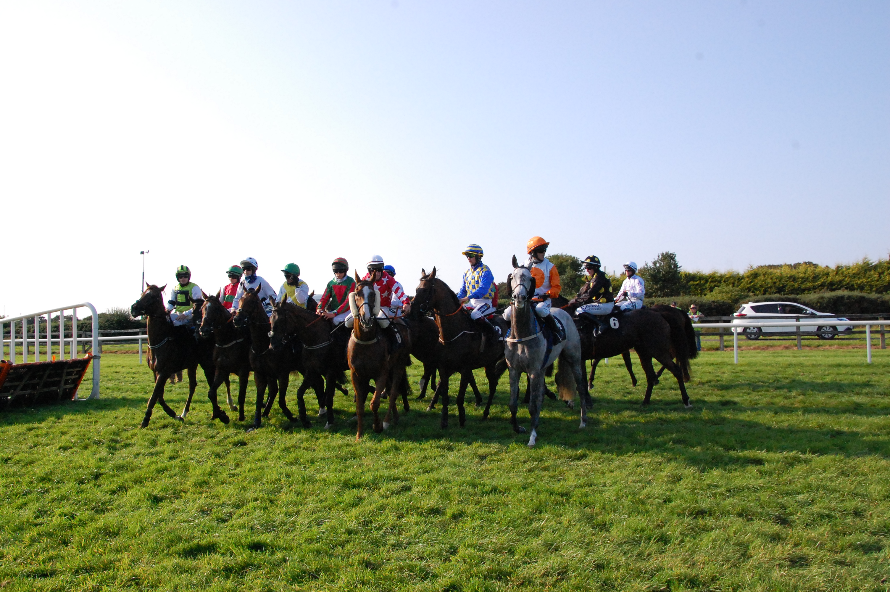 Curragh Sunday Racing Tips by Dave Stevos