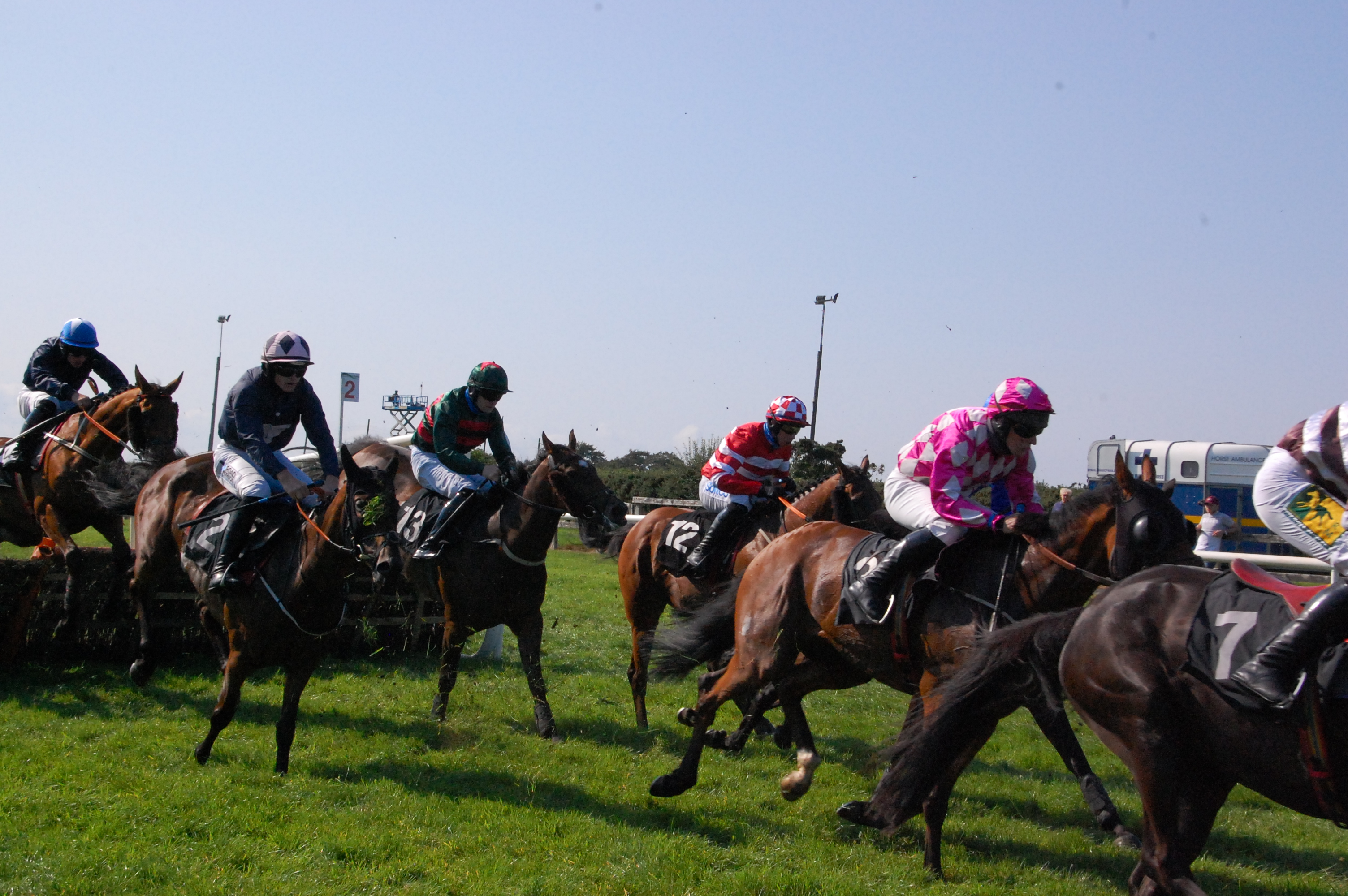 Doncaster, Wincanton and Aintree Tips by Dave Stevos