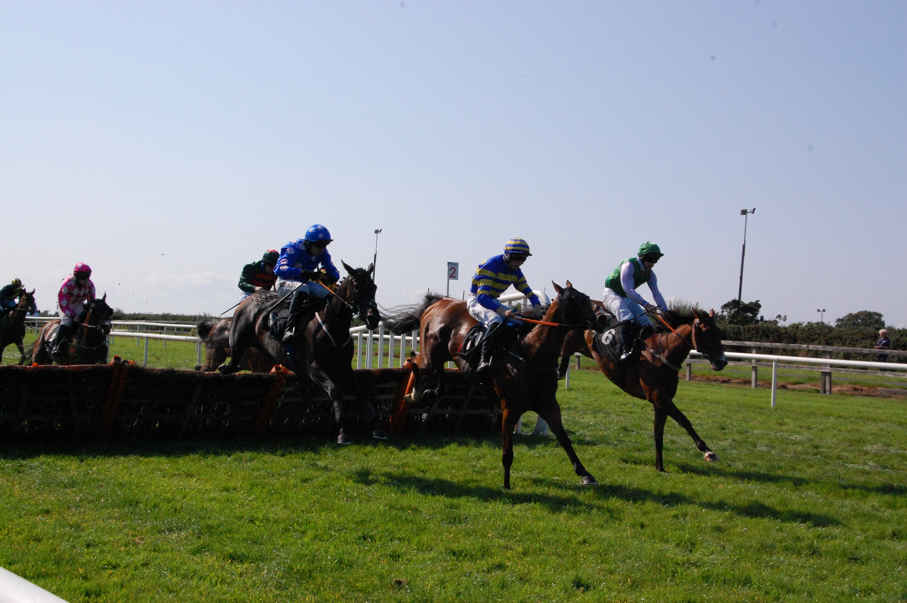 Wetherby and Ascot Saturday Tips Dave Stevos