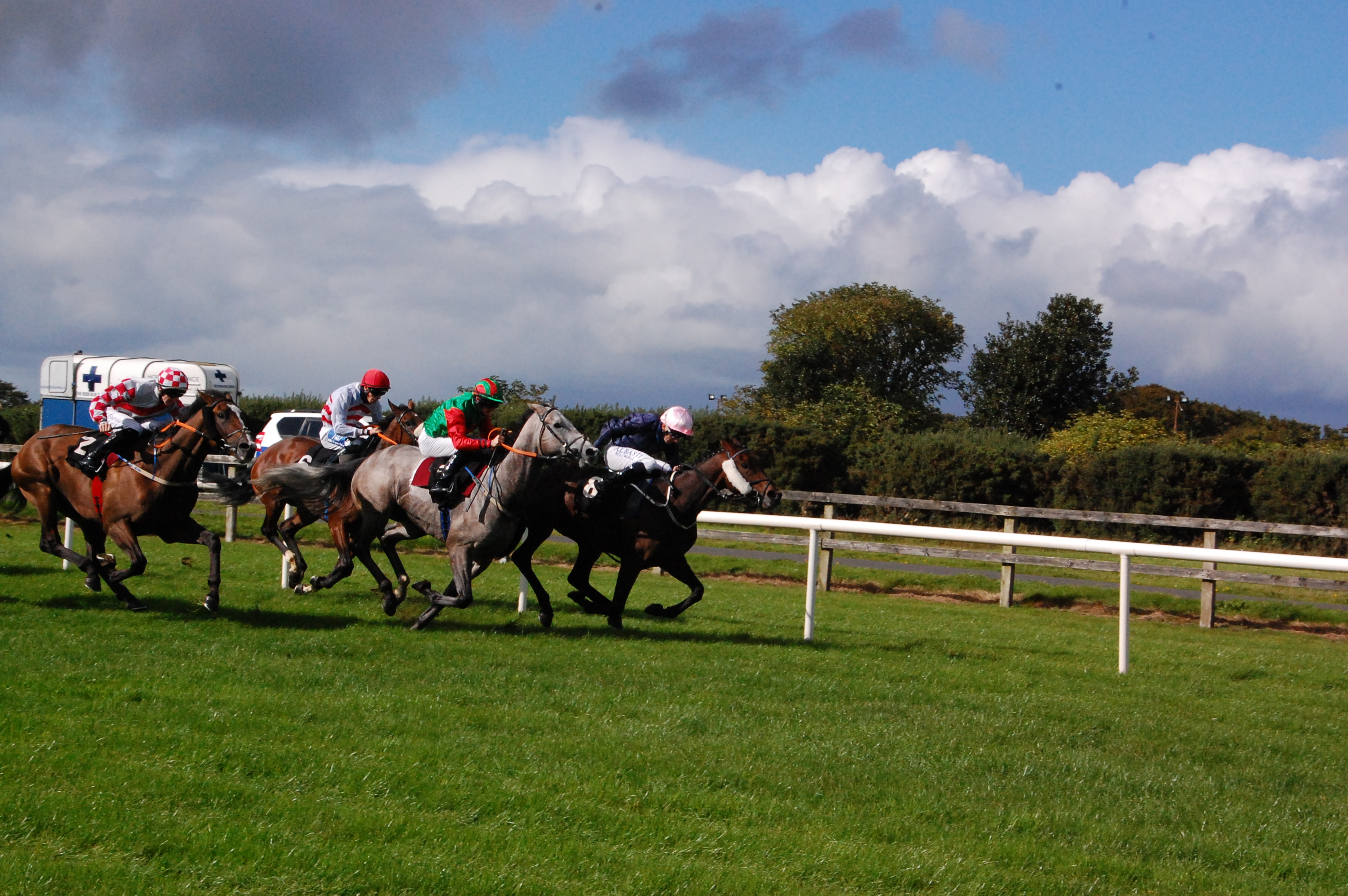 Limerick and Leopardstown Tuesday Tips by Dave Stevos