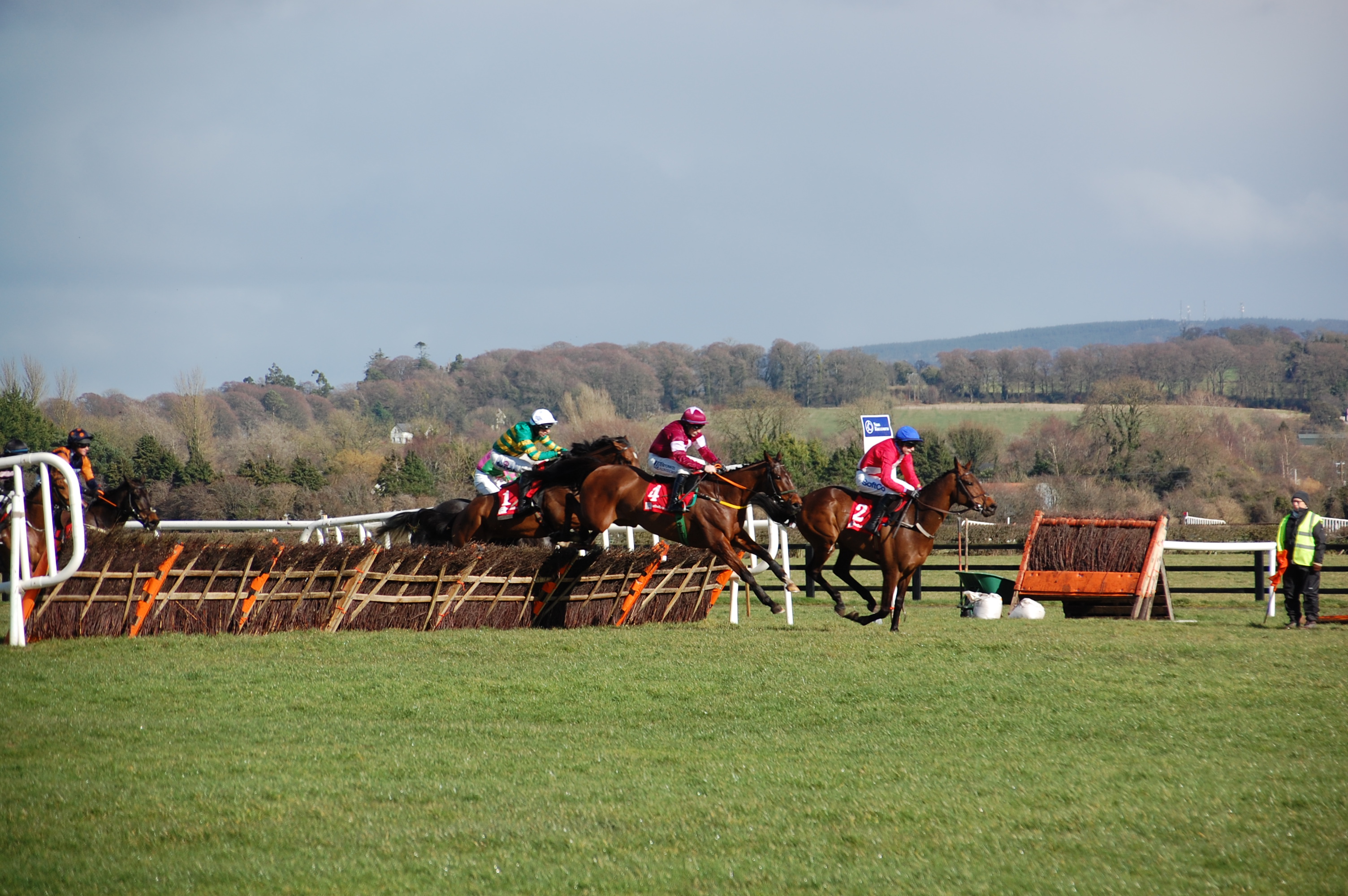2022 Punchestown Day 1 Preview and Tips – DS
