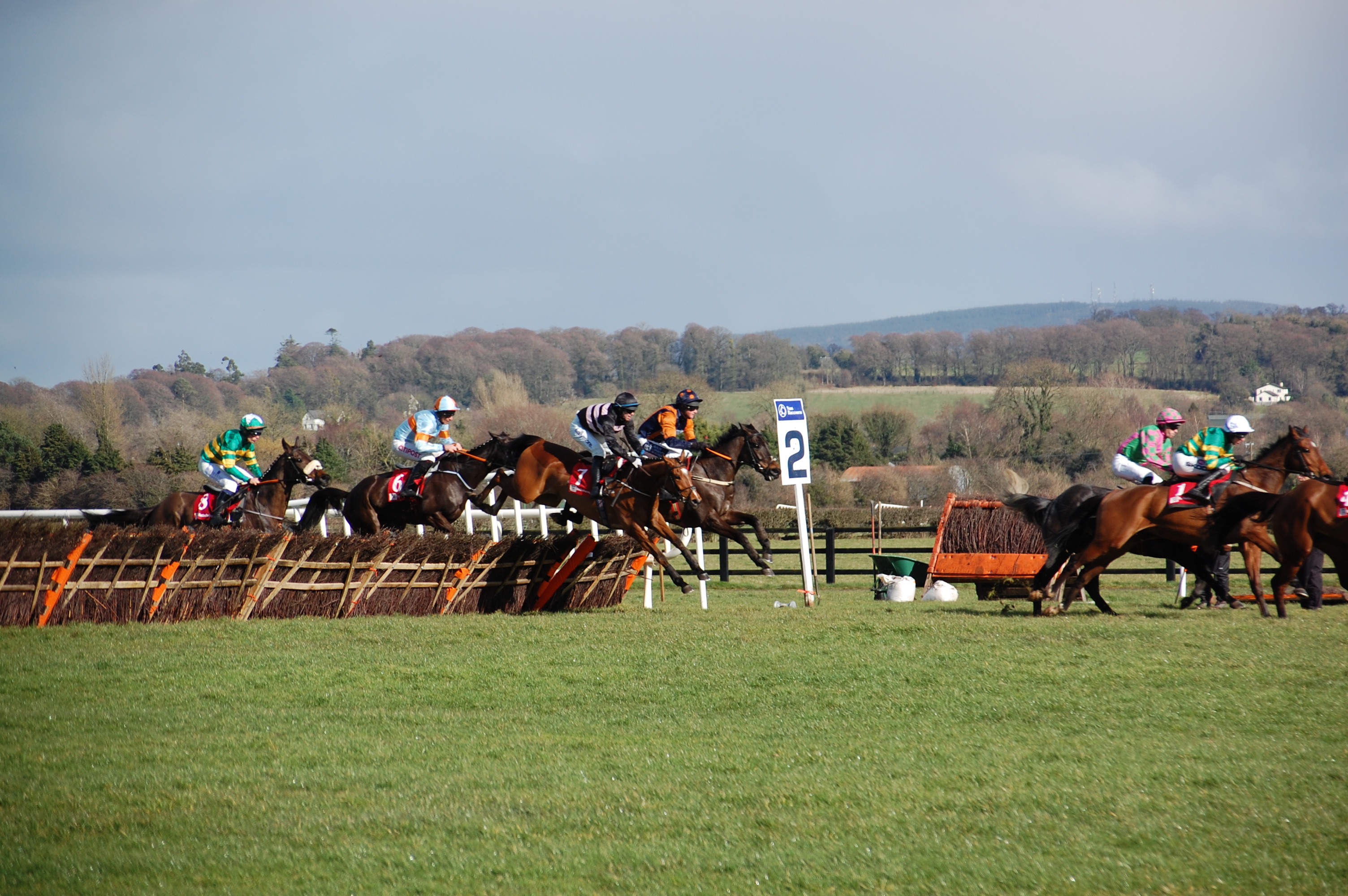 2022 Punchestown Day 2 Preview and Tips – DS