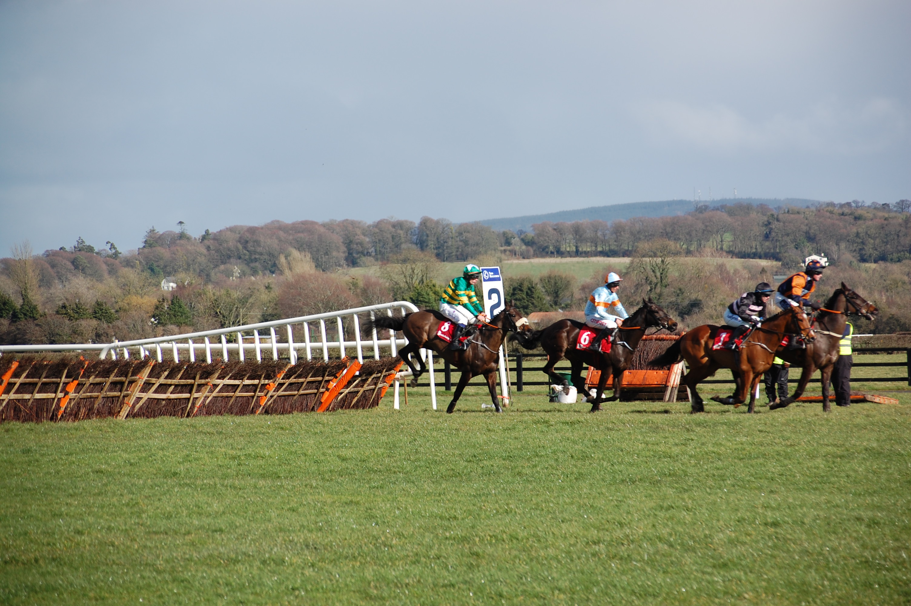 Newbury Friday Racing Tips and Preview – DS