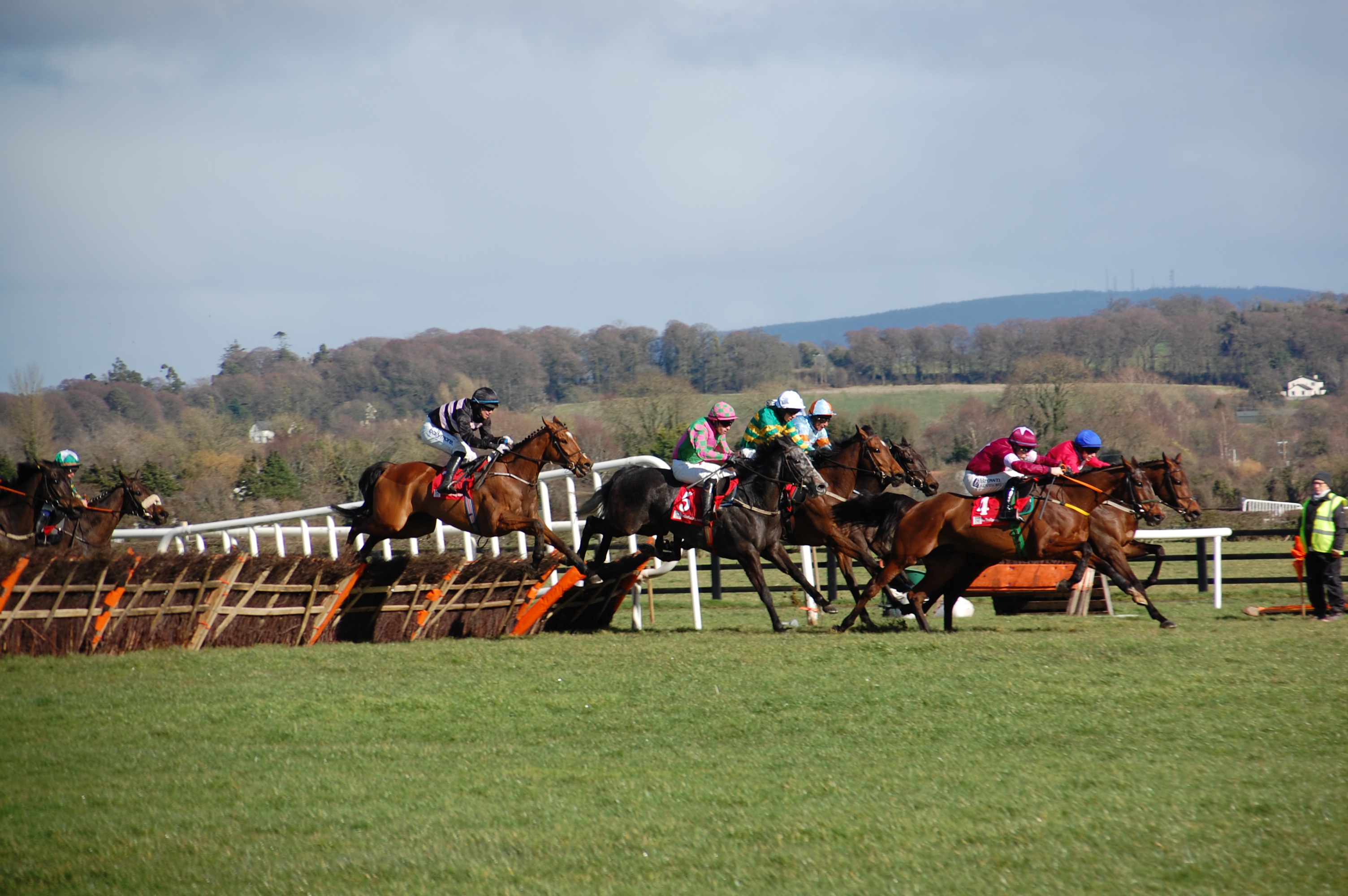 Punchestown and Exeter Sunday Tips – DS
