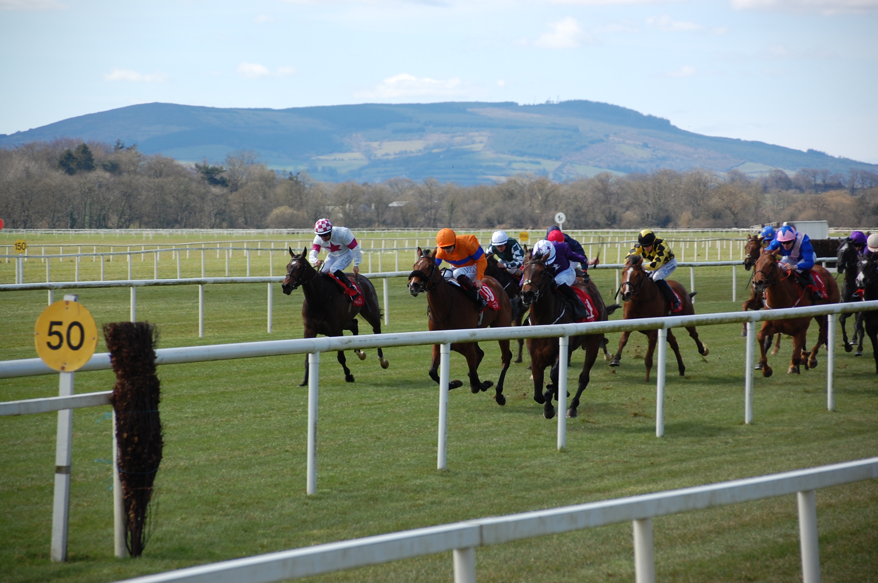 Curragh Guineas Meeting Sunday Preview – DS