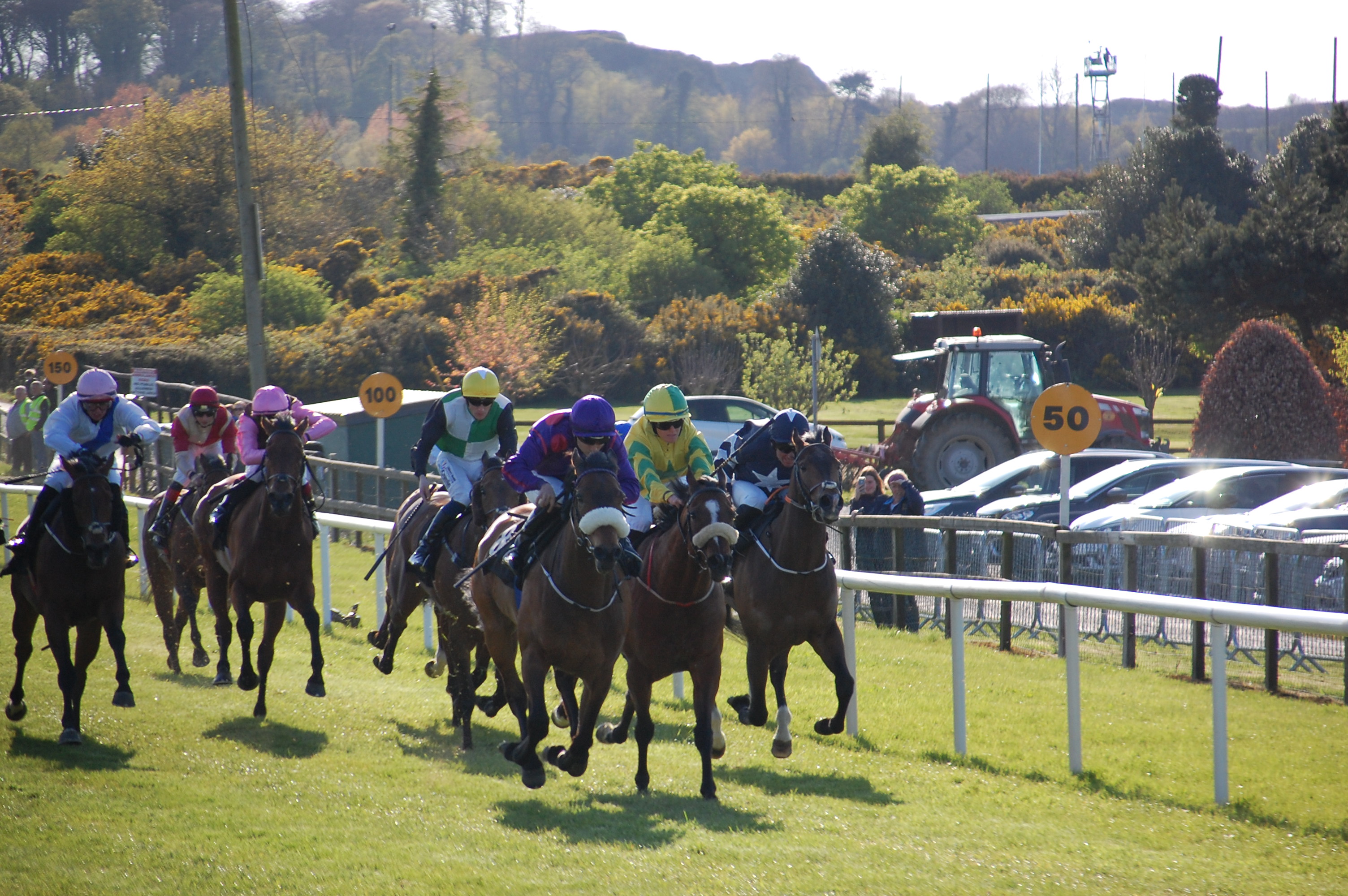 Curagh Guineas Meeting Friday Tips – DS
