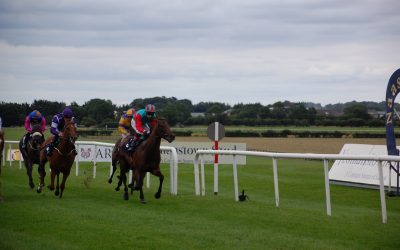 Ascot and Newmarket Saturday Preview and Tips – DS