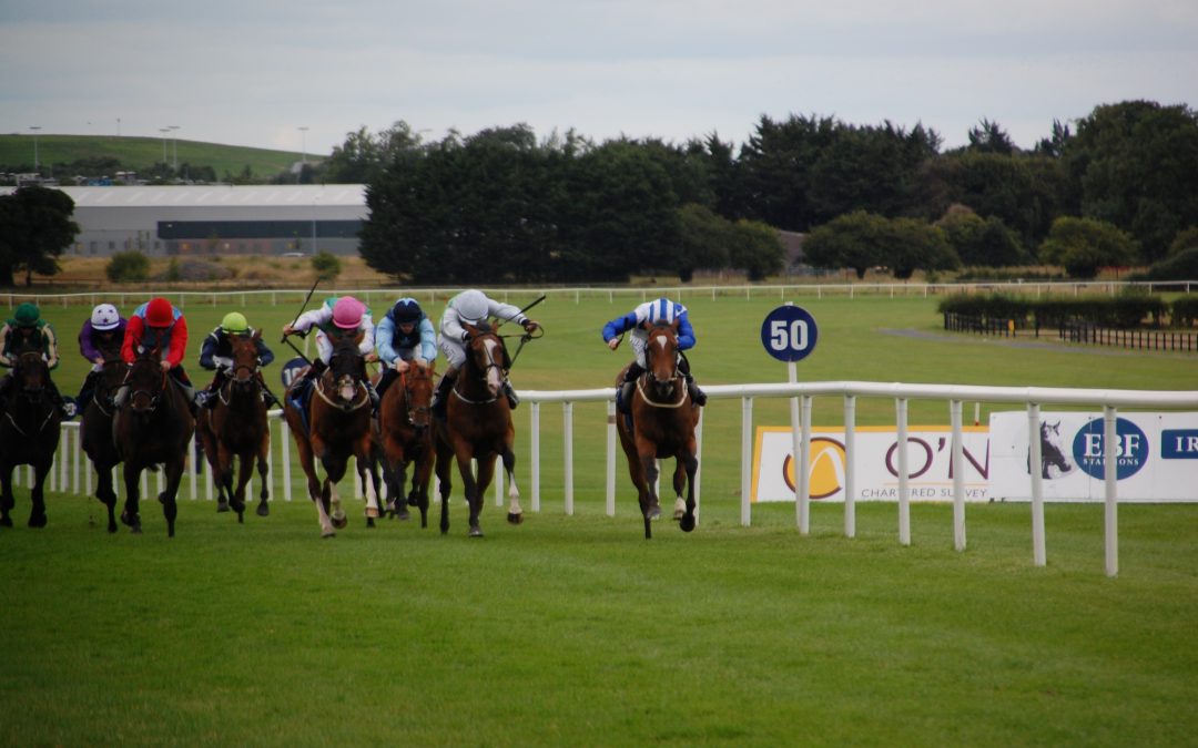Friday Newmarket Cambridgeshire Meeting Tips – DS