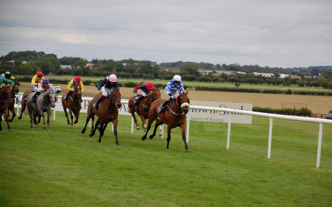 2023 Newcastle and Curragh Saturday Tips – DS