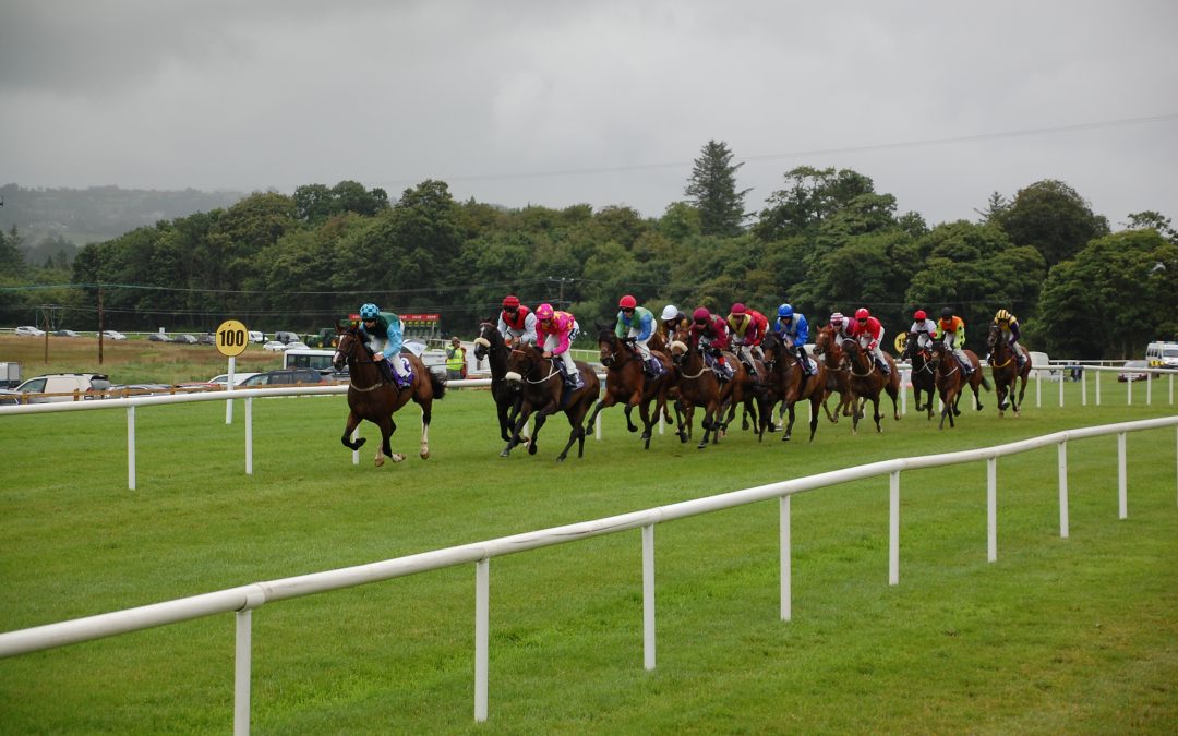 Beverley and Goodwood Saturday Tips – DS