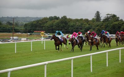 2024 Newbury & Newcastle Saturday Preview – DS