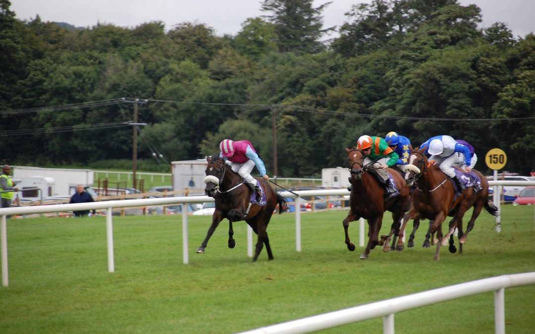 2023 Saturday Curragh Autumn Festival Tips – DS