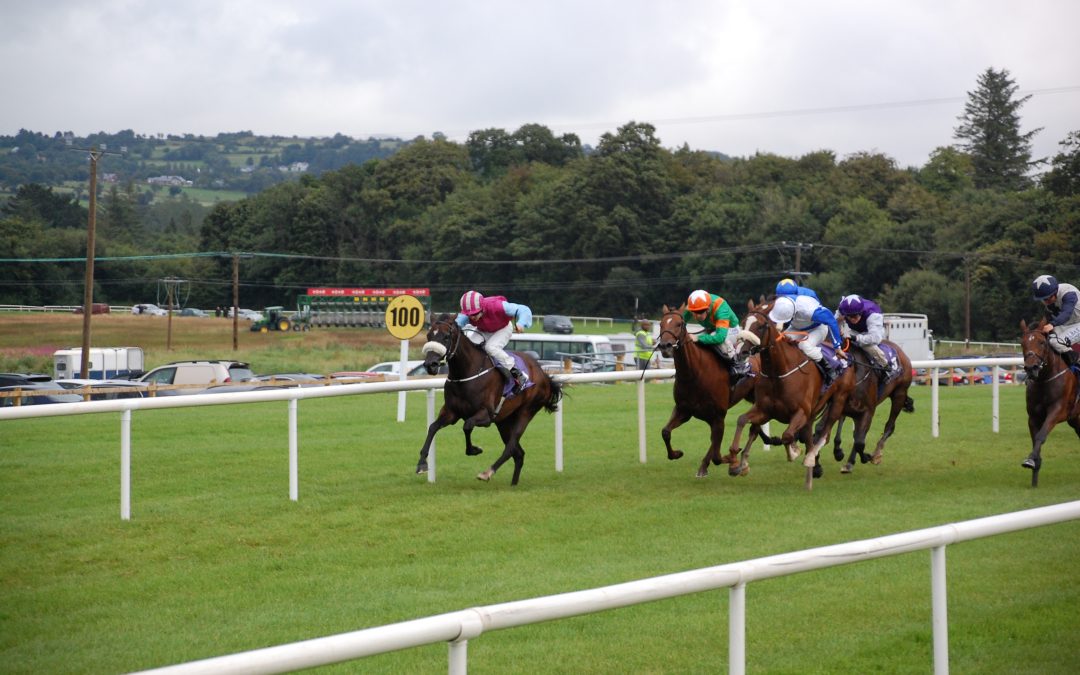 Ripon and Newbury Saturday Preview and Tips – DS