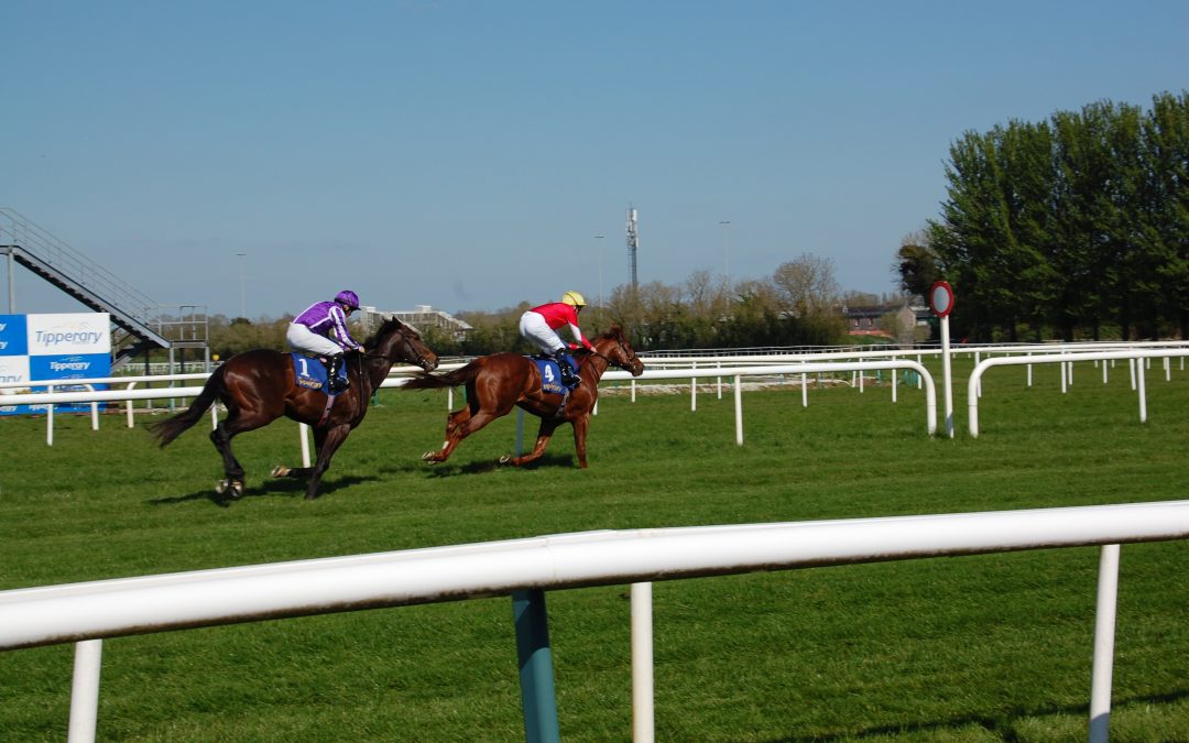 2024 2000 Guineas Ante-Post Preview & Tip – DS