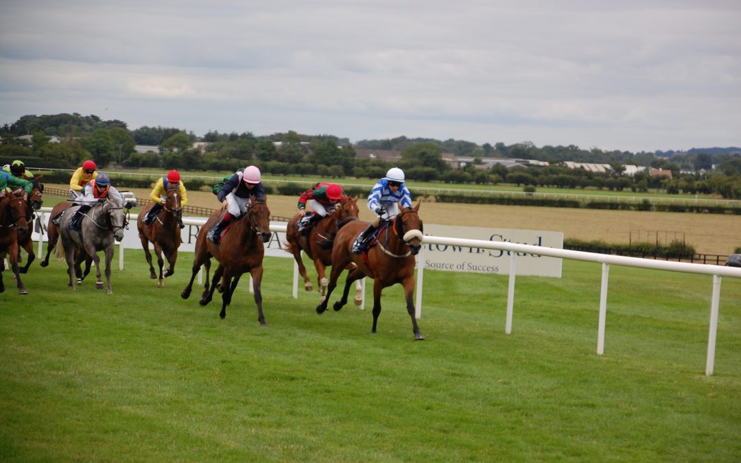 2025 Newmarket & Haydock Saturday Preview – DS