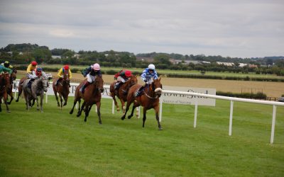 2025 Newmarket & Haydock Saturday Preview – DS